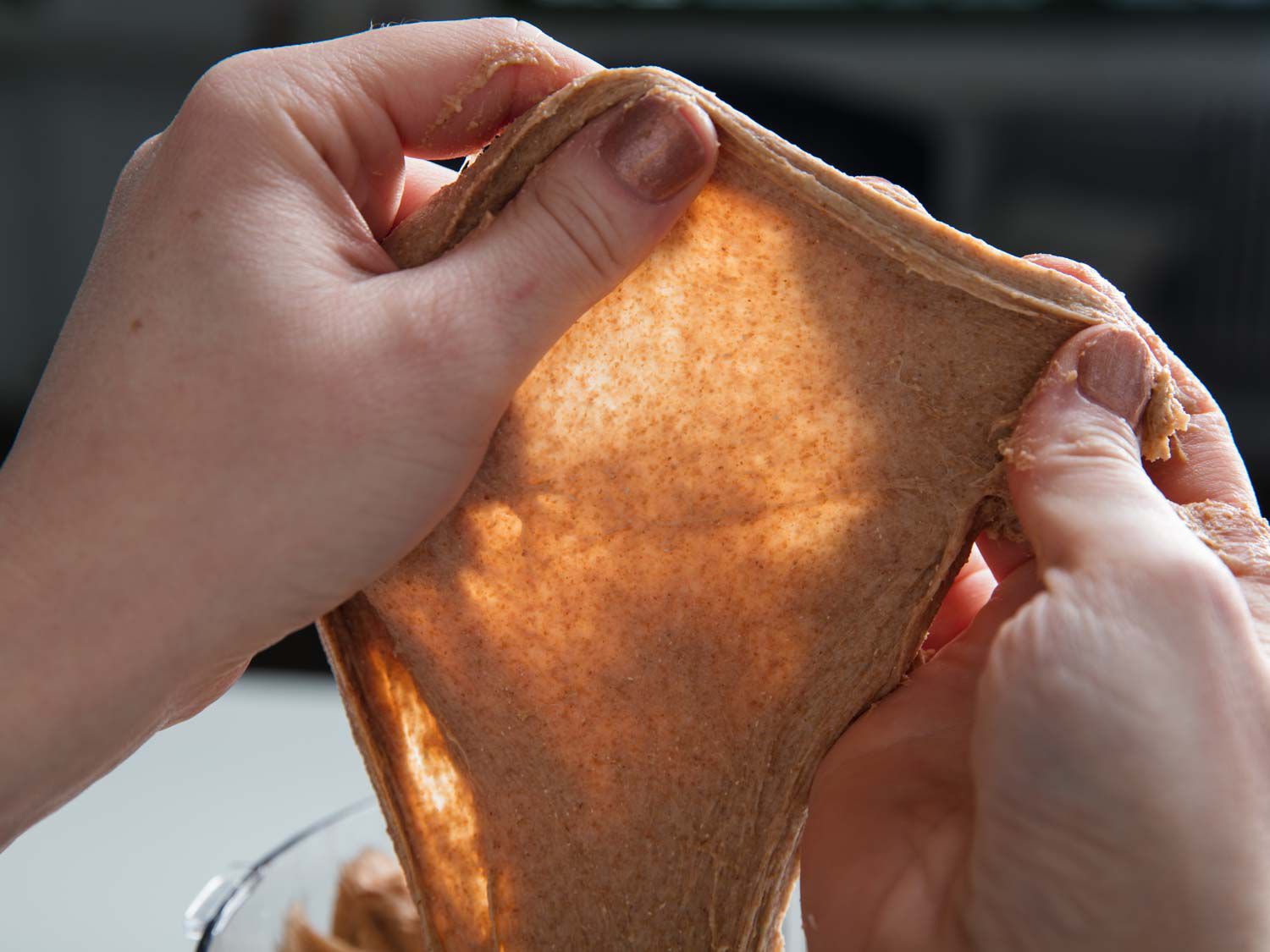 Hands performing the windowpane test to check for gluten development in a whole wheat bread dough