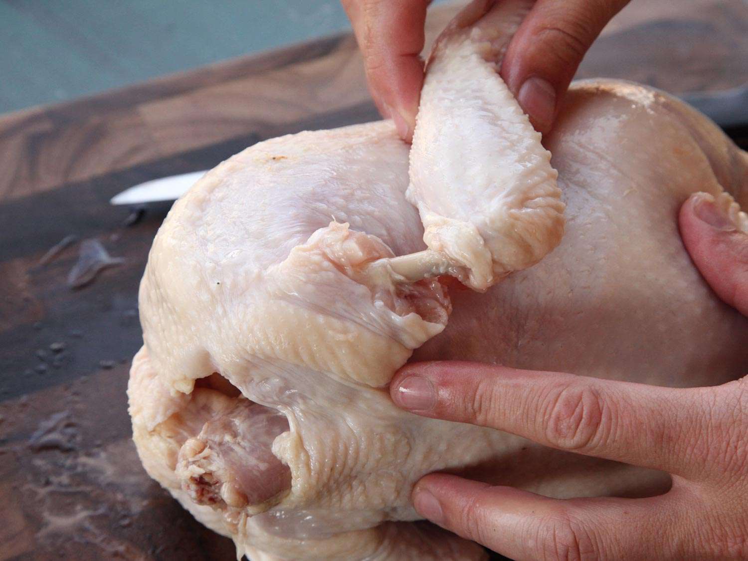 Two hands gripping a whole chicken, with the cleaned bone of the chicken wing being shown. This technique, called Frenching, is done for presentation.