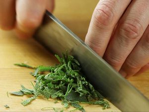20170207-fresh-sage-knife-skills-primary.jpg