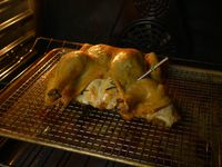 rfx probe in roast chicken in oven