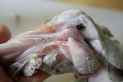 Showing the membrane on an uncooked sweetbread.