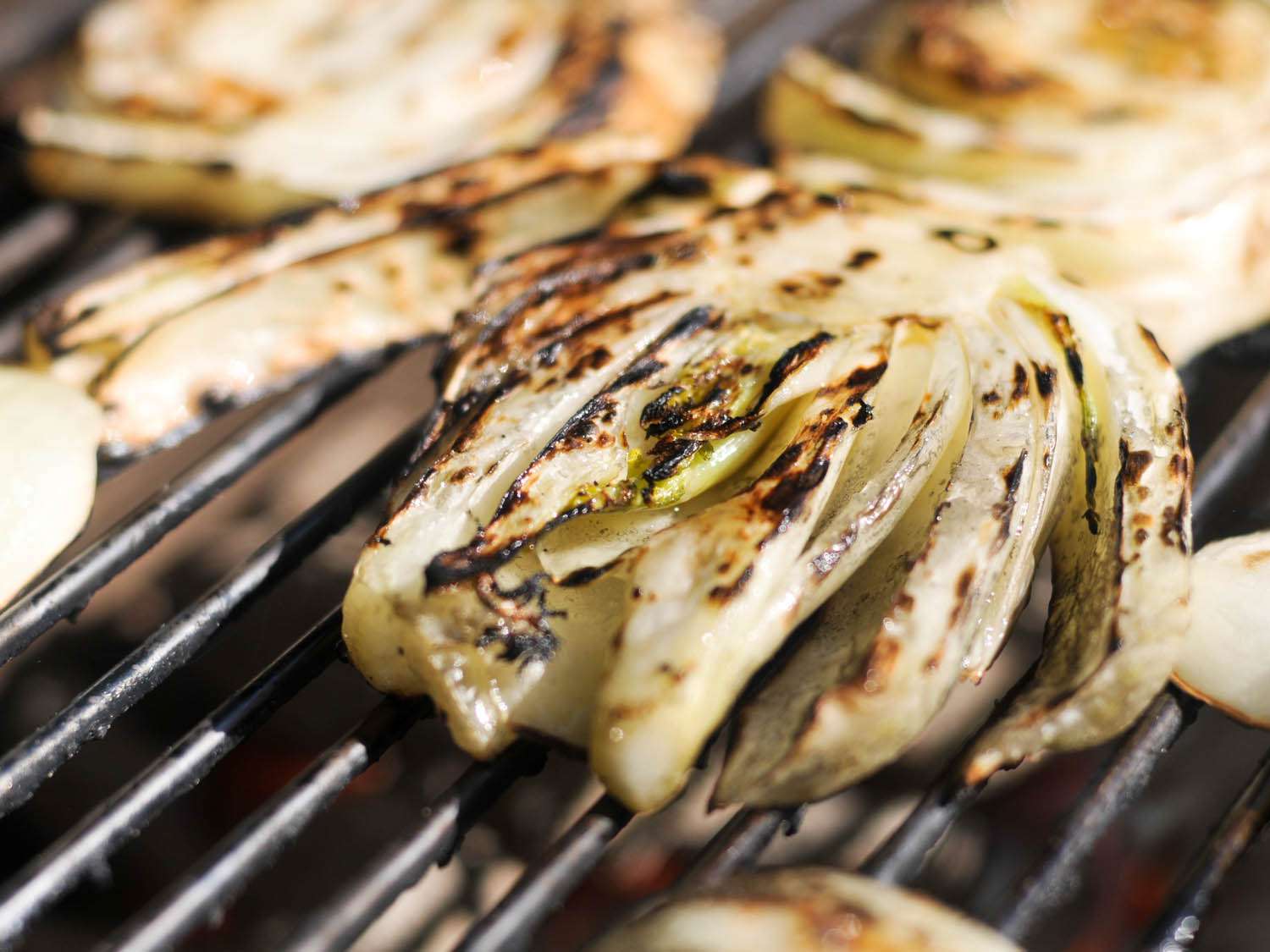 Charred fennel slices on a grill. 