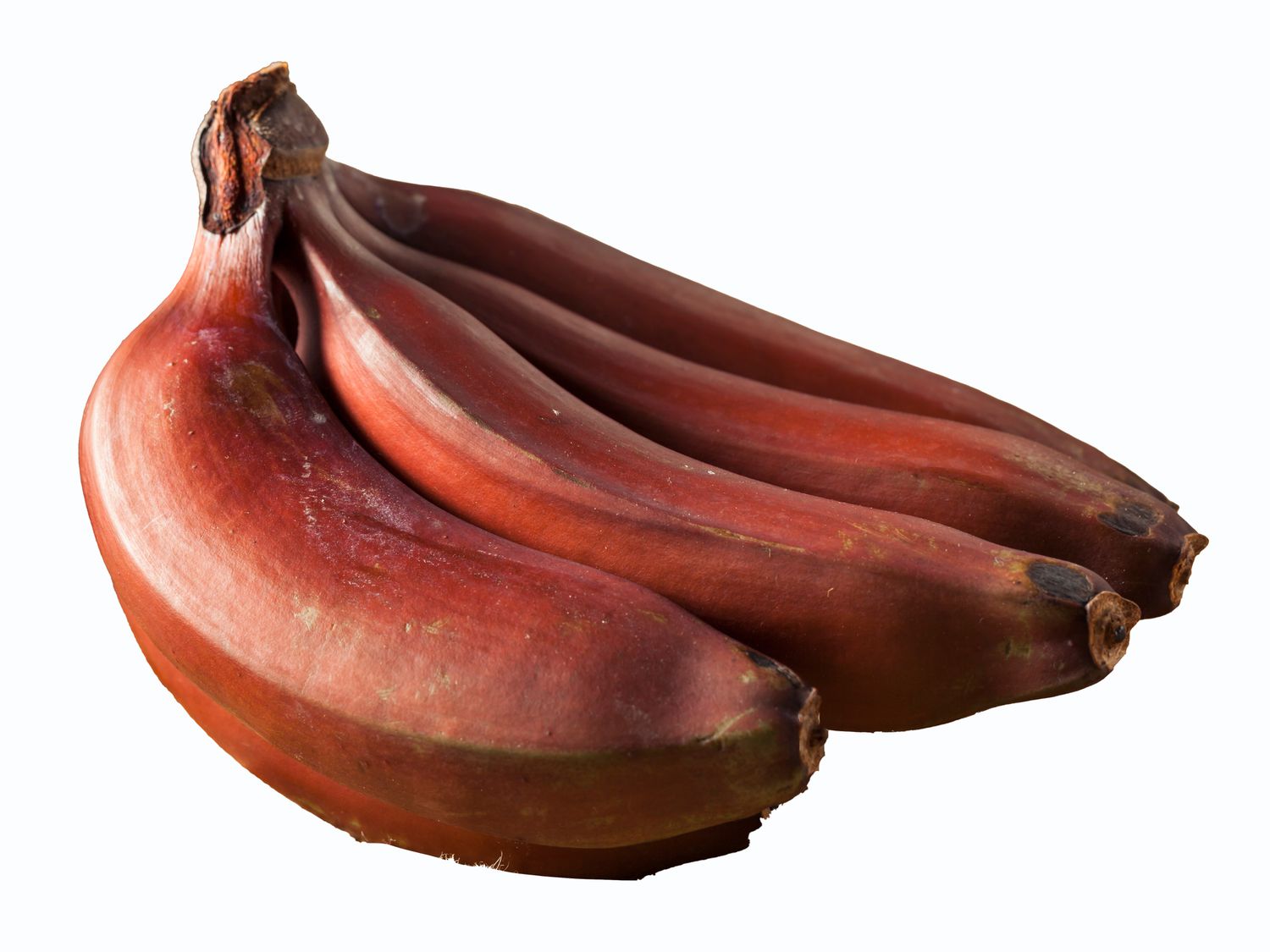 Side view of red bananas