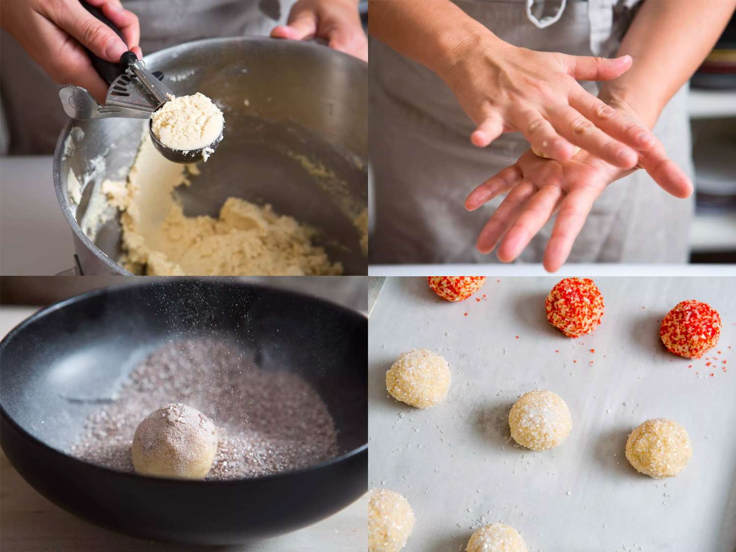 A four-image collage. The top left image shows some of the cookie dough inside of a cookie scoop. The top right image shows the ball of dough being rolled into an even shape with two hands. The bottom left image shows the ball of dough now inside of a dish of seasoned sugar. The bottom right image shows three rows of sugar-coated cookie dough on a sheet pan lined with parchment paper.