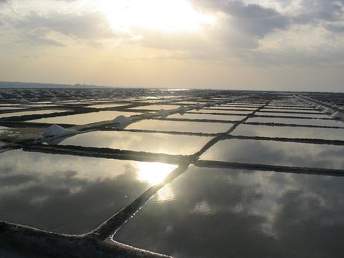 20110908-169469-salt-farm.jpg