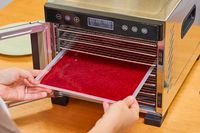 A person placing fruit leather inside Magic Mill 7 Tray Pro Food Dehydrator Machine