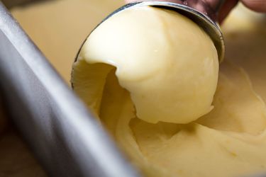 20180129-meyer-lemon-ice-cream-vicky-wasik-12