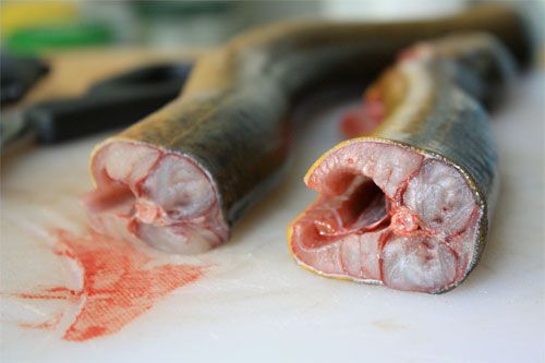 20110503-roasted-eel-3.jpg