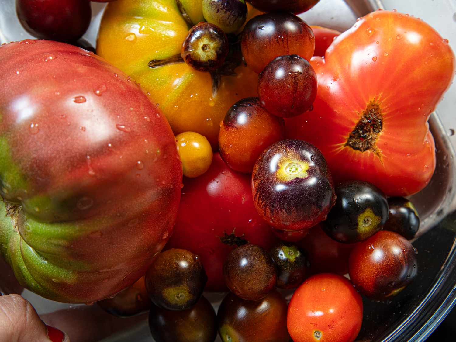 A medley of fresh heirloom and cherry tomatoes in a bowl