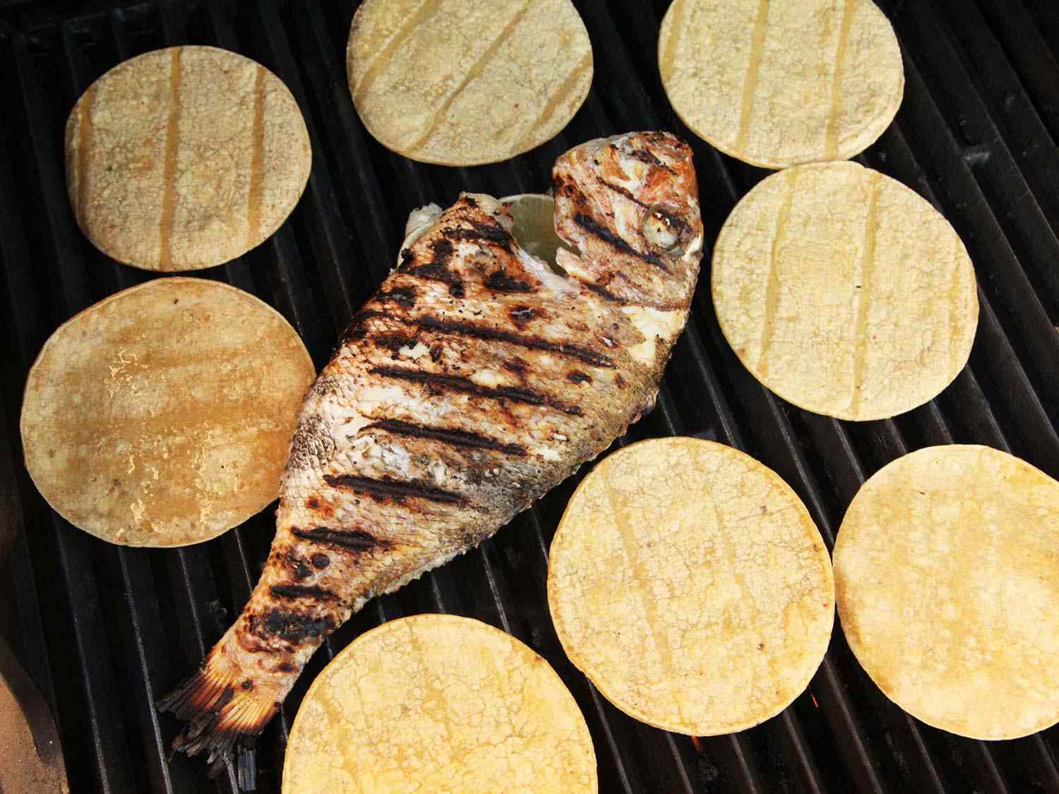 A whole fish and eight taco shells on a grill grate. The fish has nice char marks.