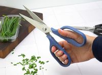 a person holding kitchen shears