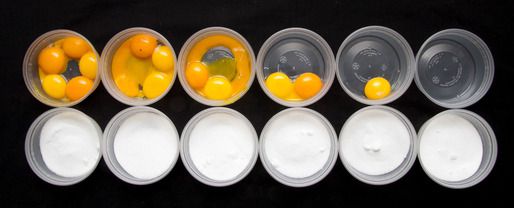 Plastic containers of granulated sugar lined up in row paired with corresponding row of plastic containers with five to zero egg yolks