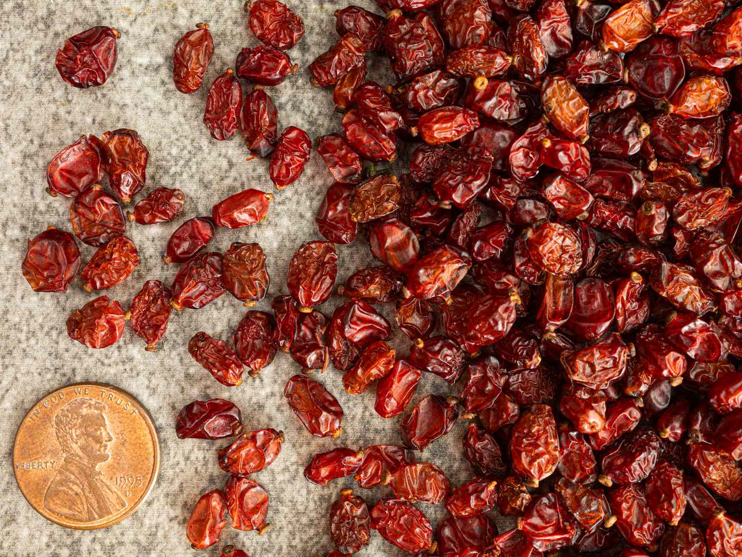 Dried red barberries scattered on a surface next to a penny for scale