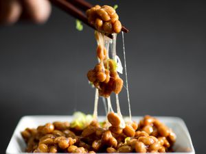 Chopsticks holding natto over a square plate of natto, fermented soybeans that are a common breakfast in Japan.. 