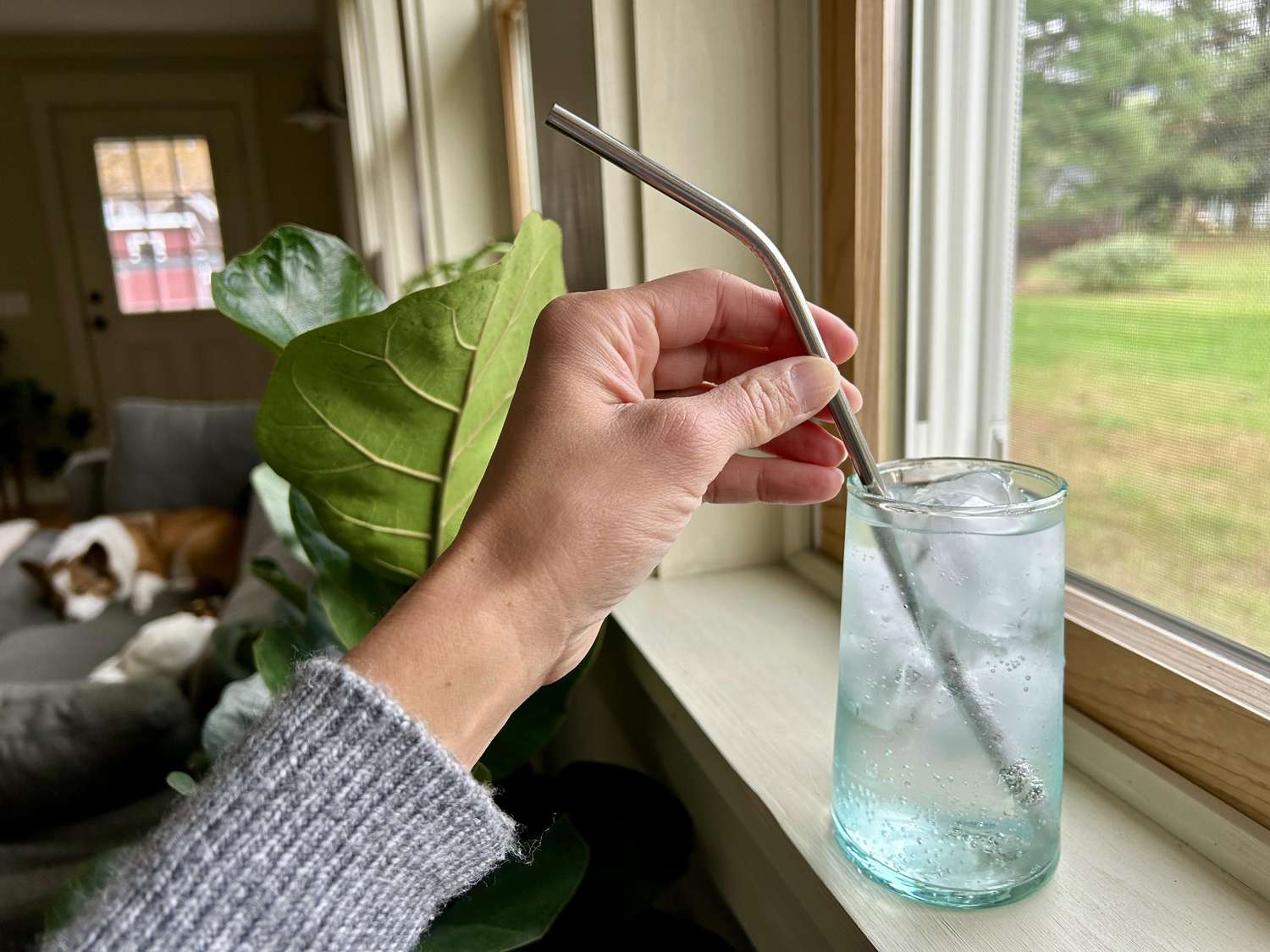 A metal straw in a glass of ice water