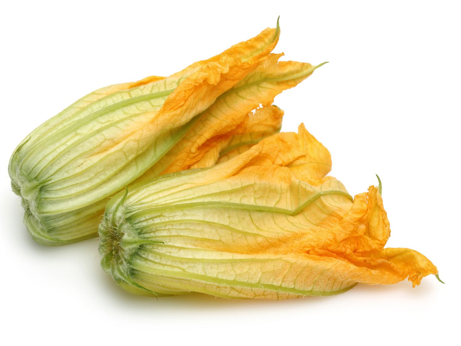Squash blossoms
