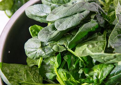 A bowl filled with fresh spinach leaves