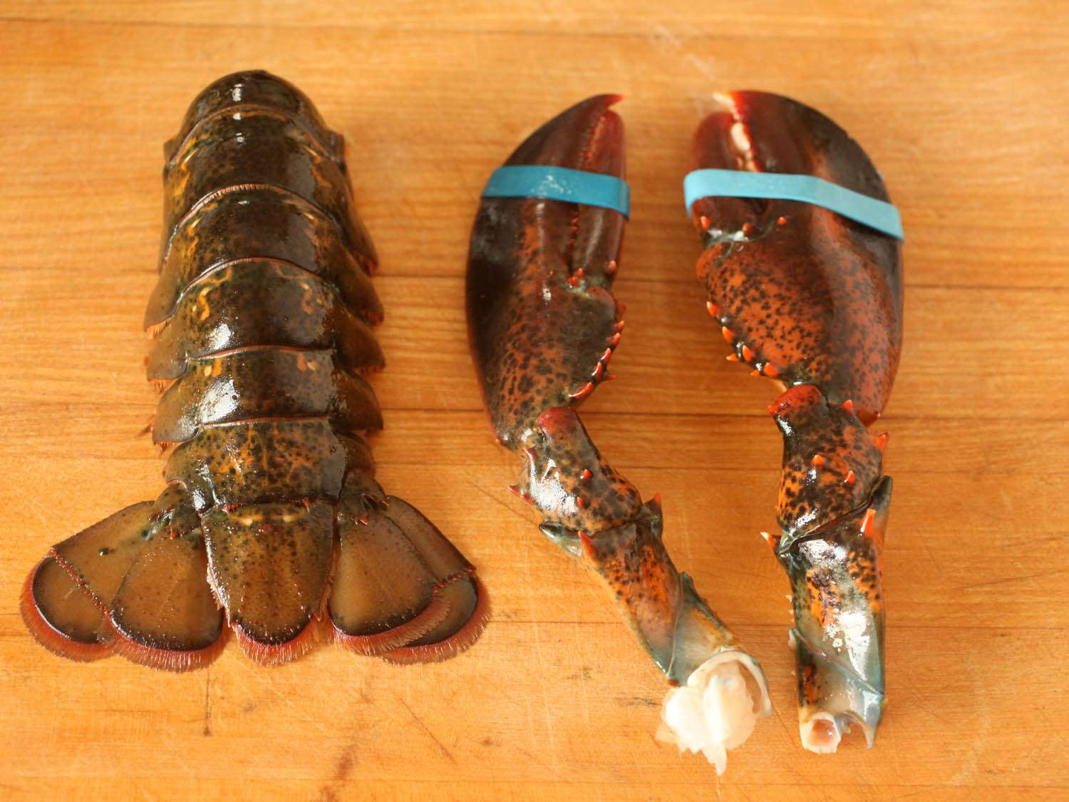 Separated lobster tail and claws.