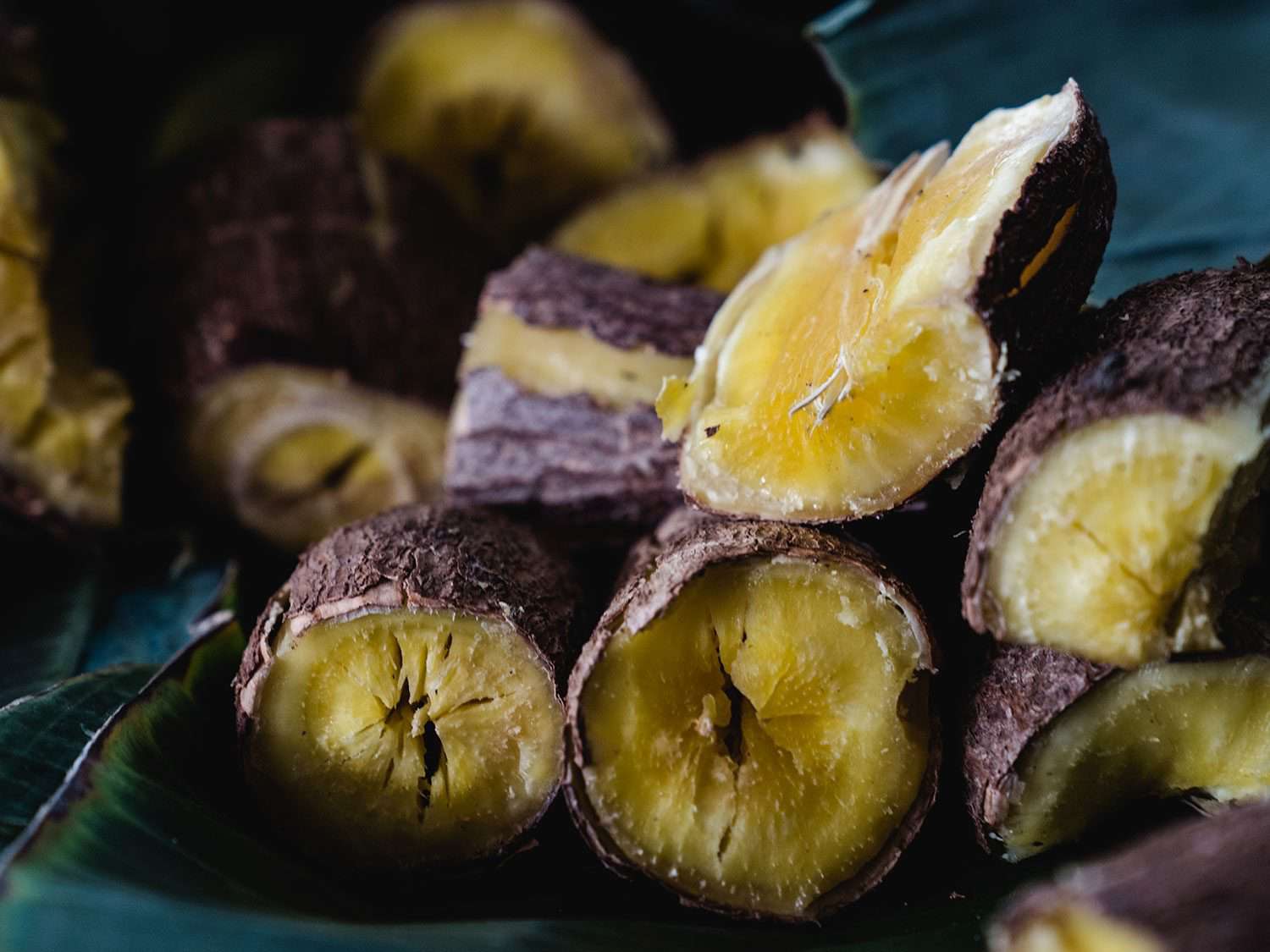 Close up of several cooked yellow yams.