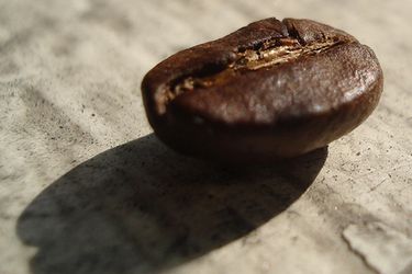 20101013coffeebean.jpg