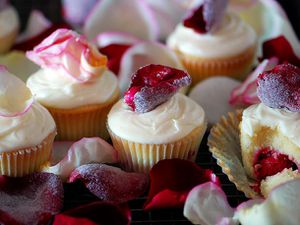20120207-127677-LTE-Rosewater-Cupcakes-PRIMARY.jpg