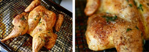 20100507-butterfly-chicken - 7.5.jpg