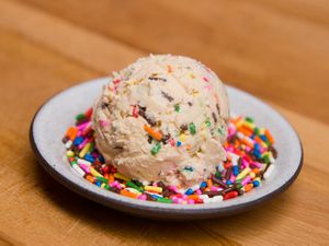 A scoop of sprinkle ice cream, with even more sprinkles on the plate.
