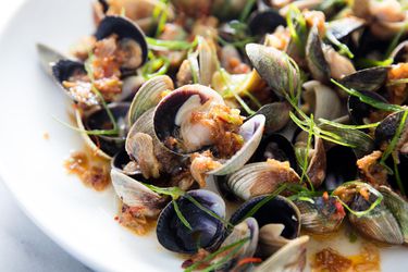 20190411-clams-xo-sauce-vicky-wasik-11