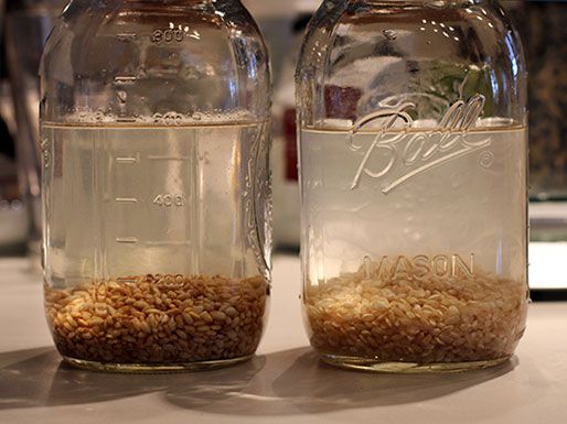 Two glass canning jars with rice grains soaking in them.