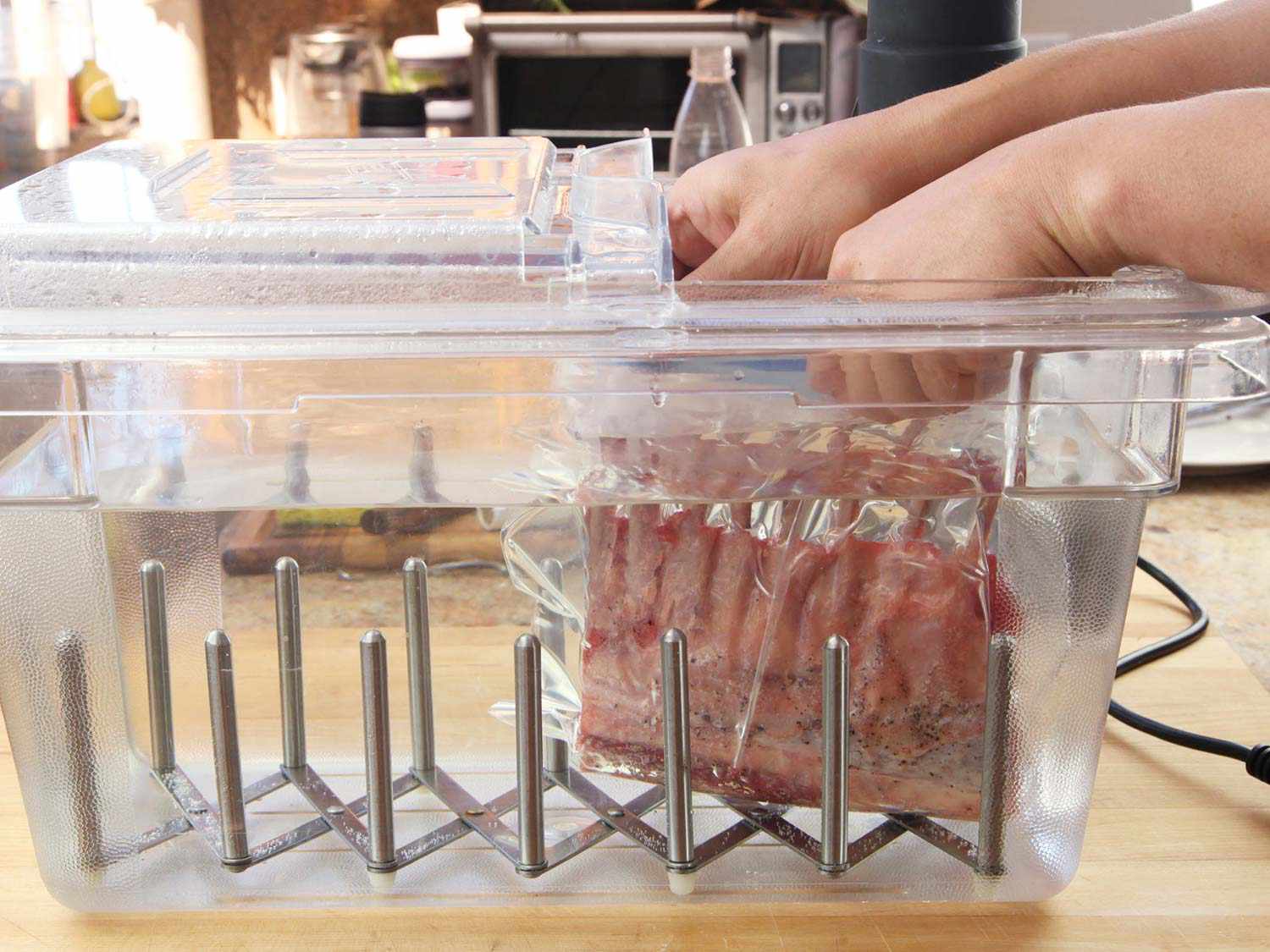 Hands placing a zipper-lock bag containing a rack of lamb into a water bath before sealing and cooking sous vide.