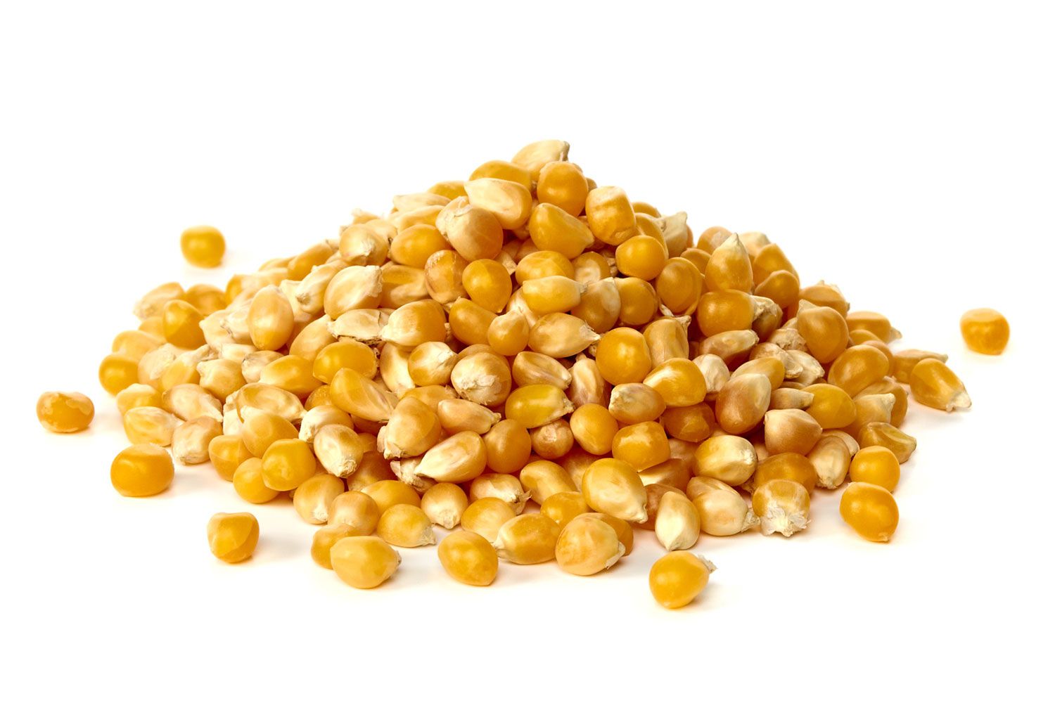 20140203-grains-corn.jpg