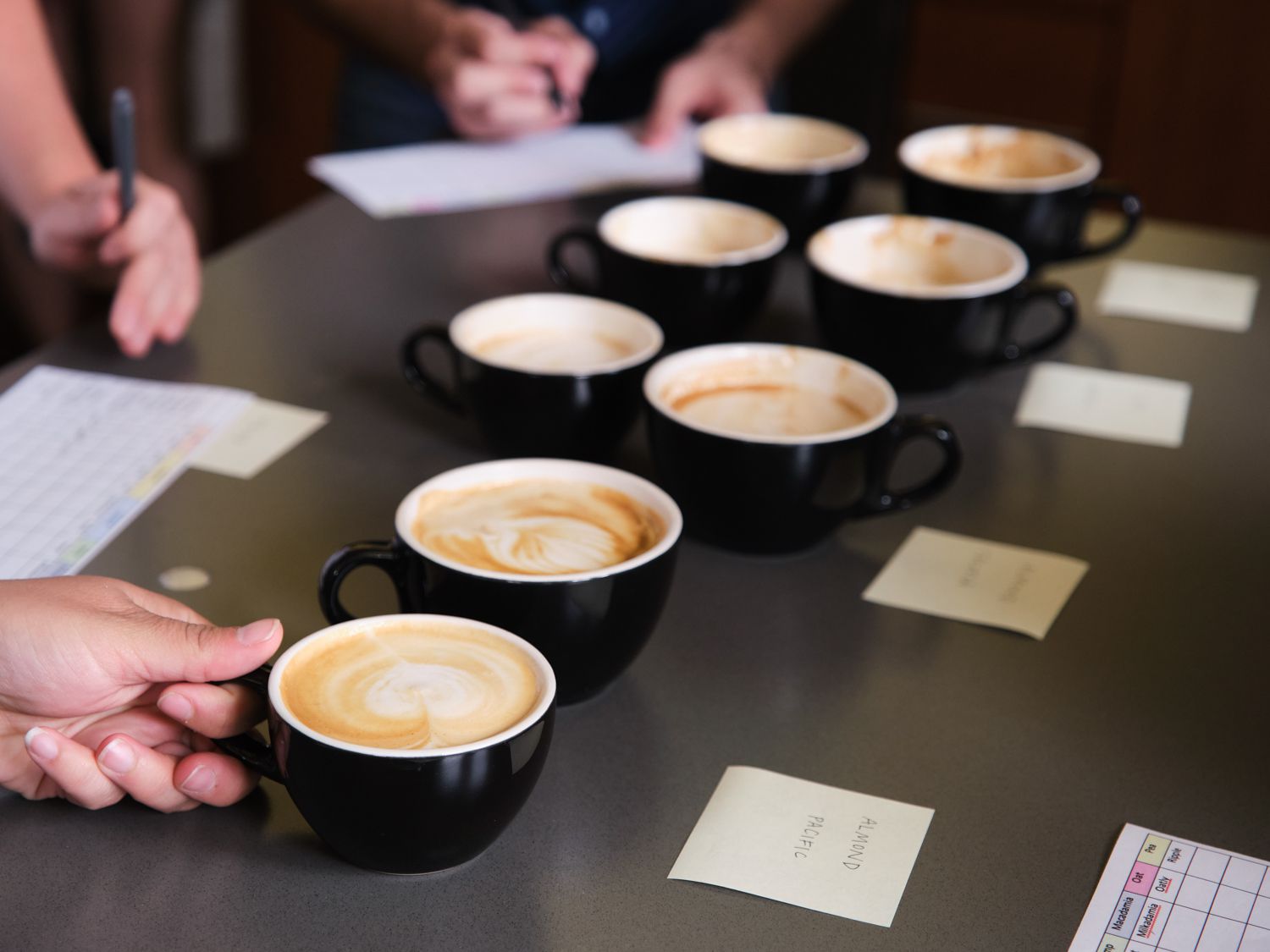A line-up of espresso drinks using non-dairy milk in a taste test. 