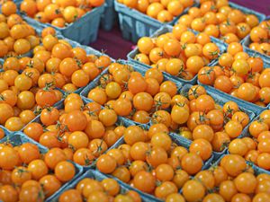 Multiple baskets of orange cherry tomatoes arranged on a table