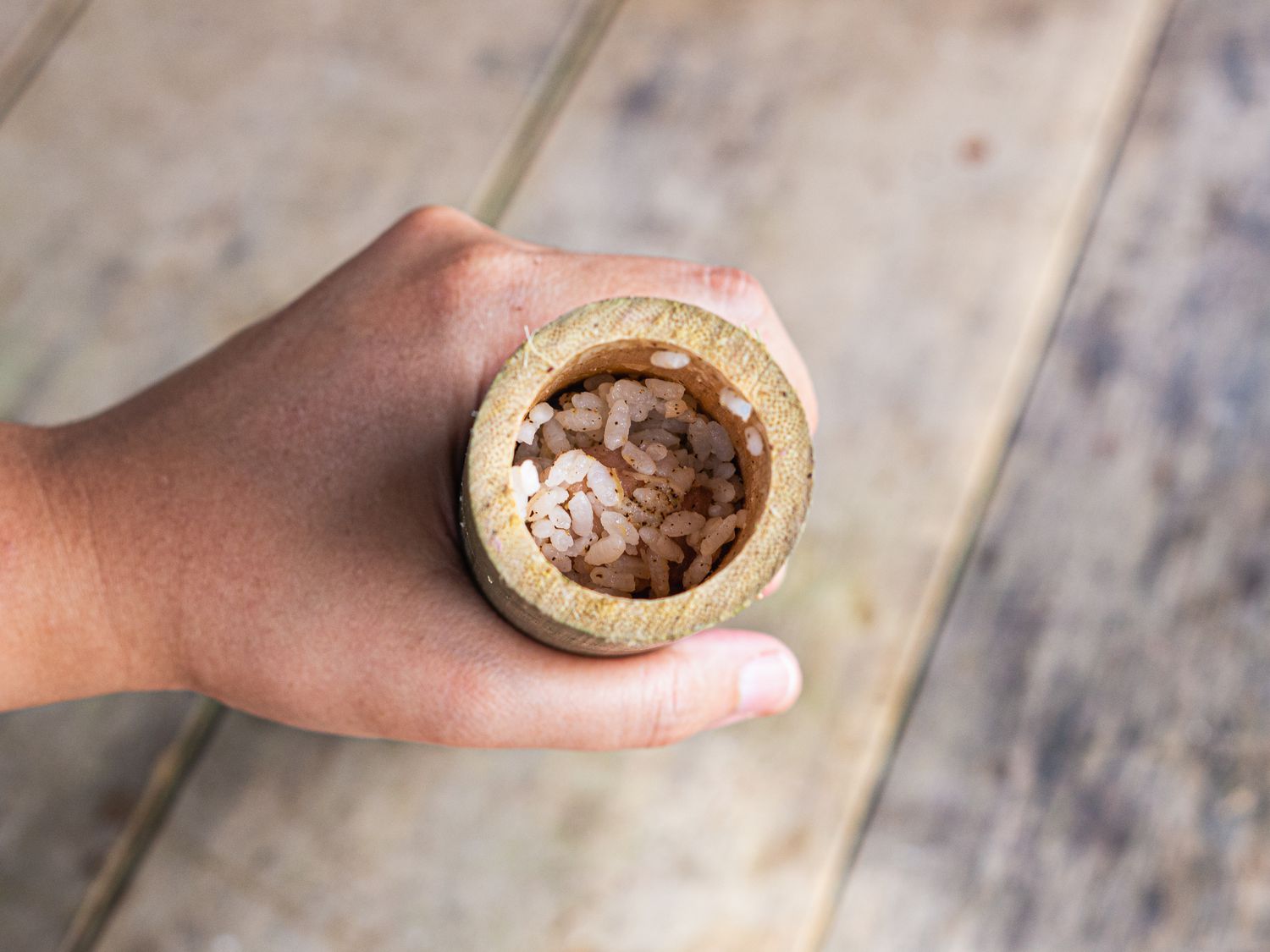 Overhead view of stuffed bamboo 