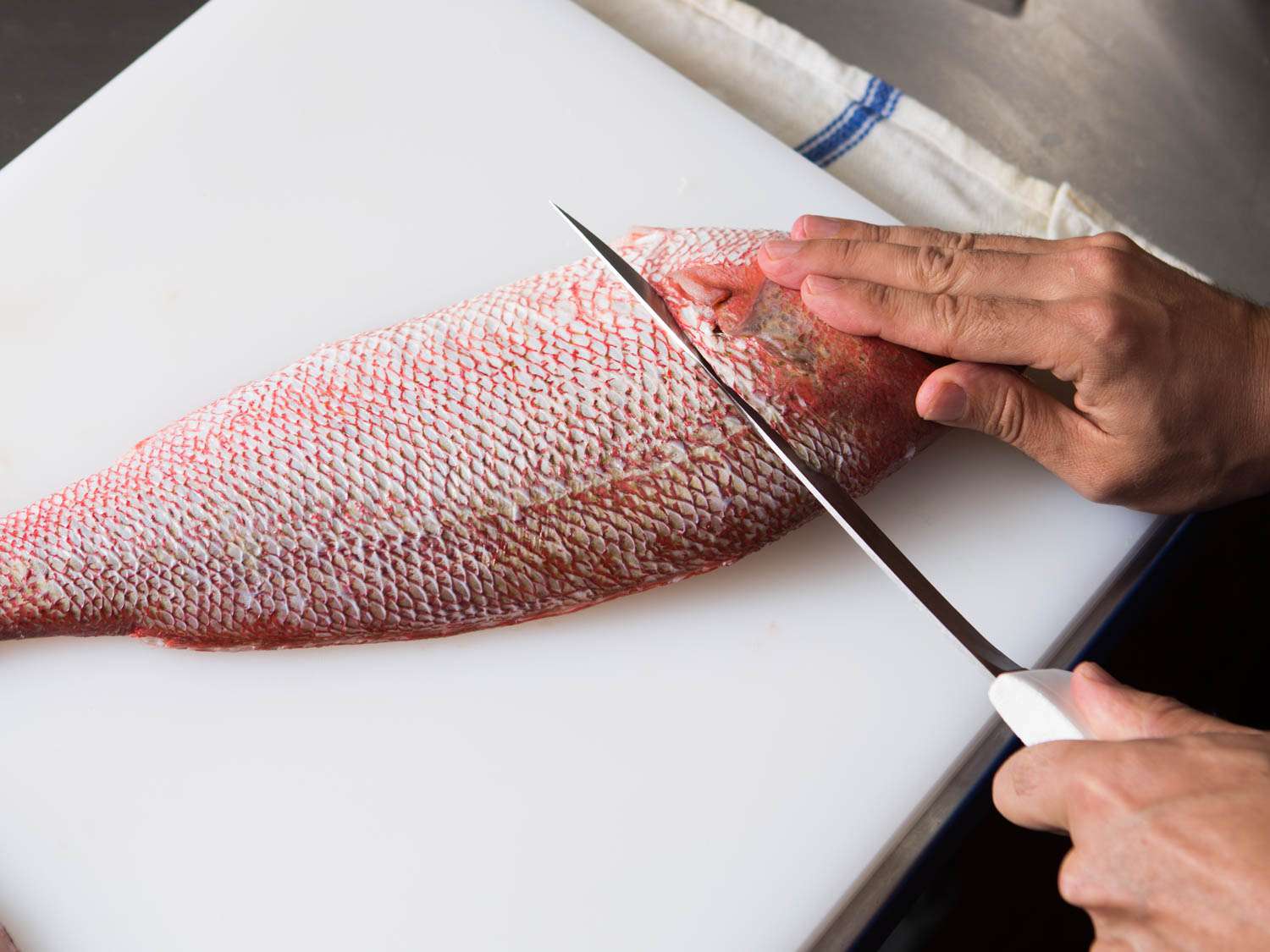 20150922-how-to-fillet-fish-12.jpg