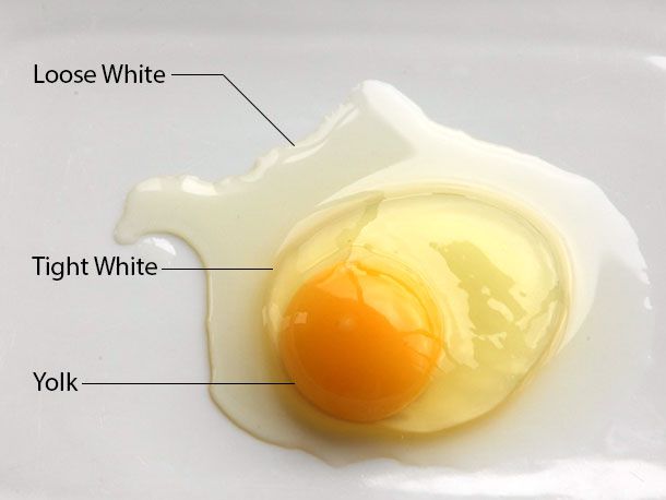 Labeled photo of raw egg pointing to three sections: 
