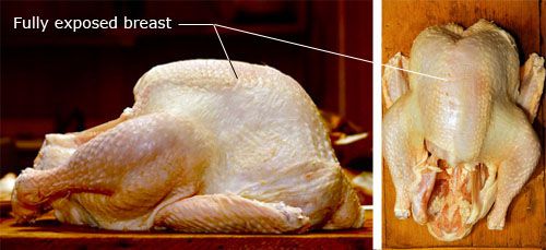 20091117-1-stuffed-turkey-raw.jpg