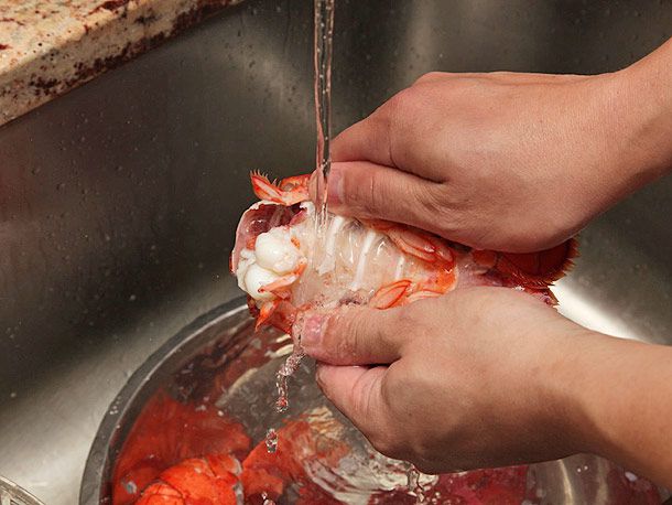 Pulling the shell off a cooked lobster tail under running water