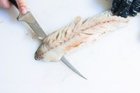 A person using the Wüsthof Classic Fish Fillet Knife to cut a fish