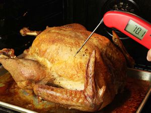 Taking the temperature of a turkey with a Thermapen instant-read thermometer