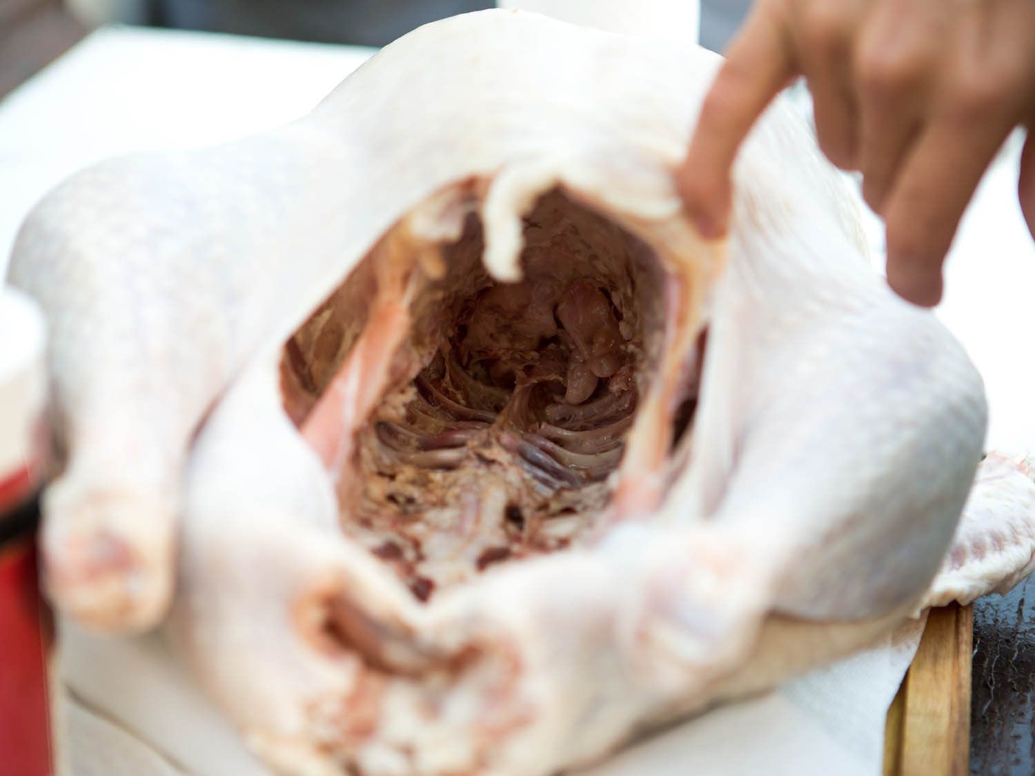 Interior cavity of turkey, demonstrating there's no ice inside the turkey.