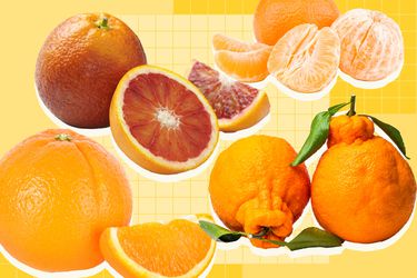 Graphic with different types of oranges