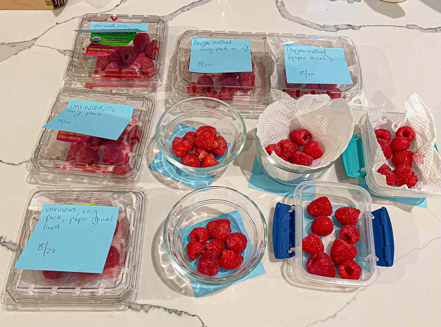 Overhead view of raspberry storage tests 