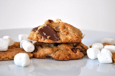 20120806-cookie-monster-campfire-cookies.JPG