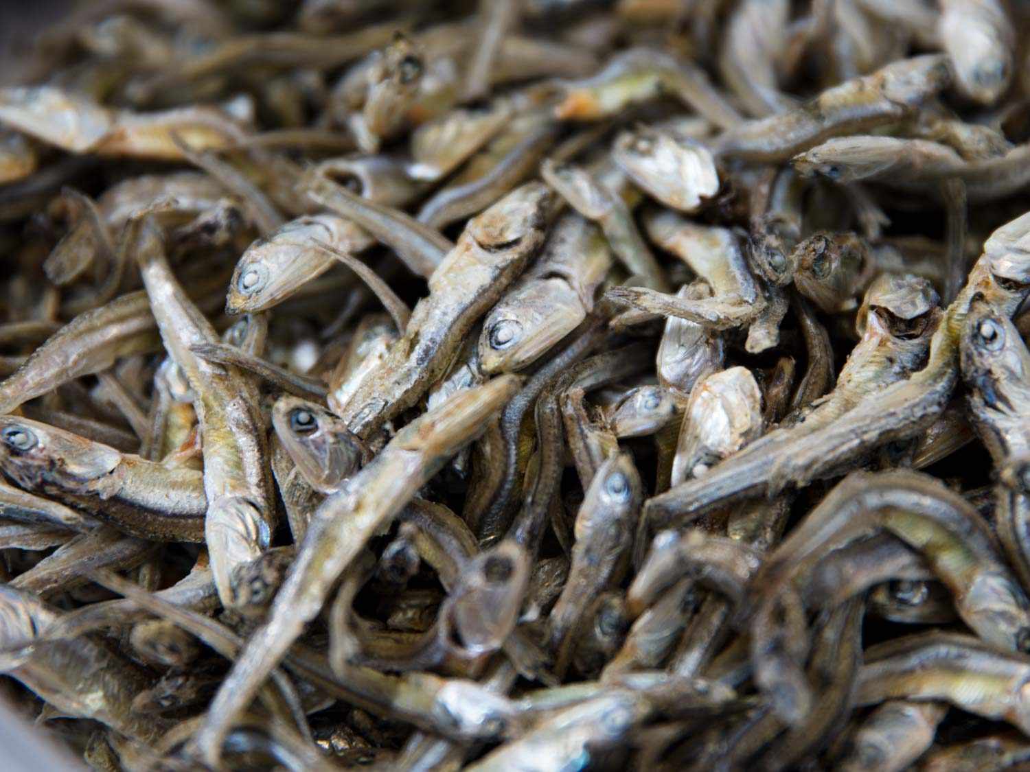 Korean dried anchovies