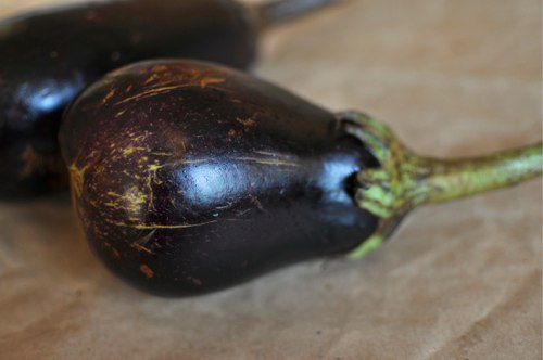 20111106-178354-whole-eggplant.jpg
