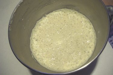 2010121-protips-preferment.JPG