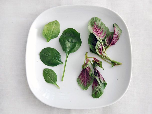 A white plate with leaves of spinach and red shen choy for braising.
