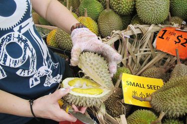 Opening a durian