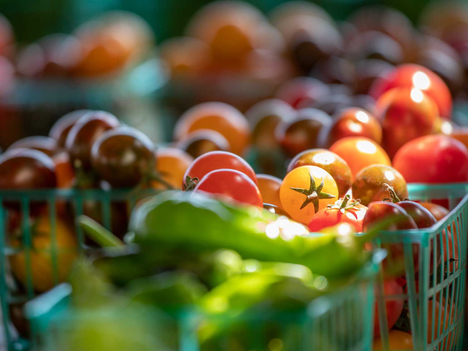 Ferry Building Farmer's Market